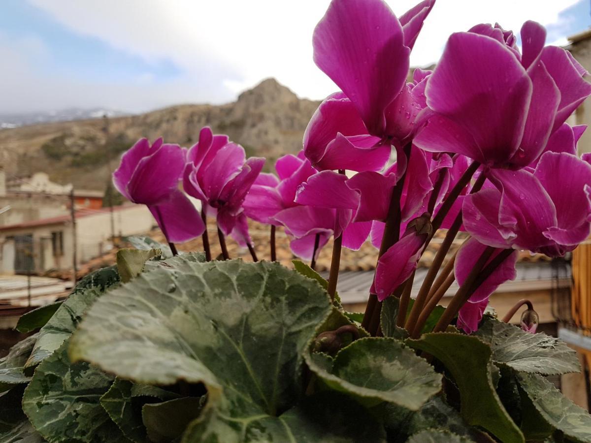 Bed and Breakfast Il Vicoletto Frascineto Номер фото