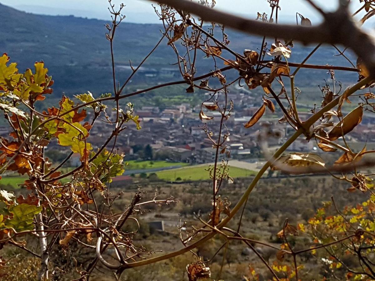Bed and Breakfast Il Vicoletto Frascineto Екстер'єр фото