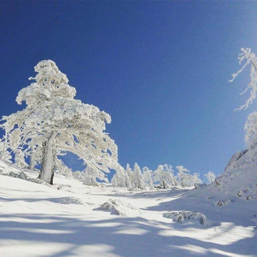 Bed and Breakfast Il Vicoletto Frascineto Екстер'єр фото