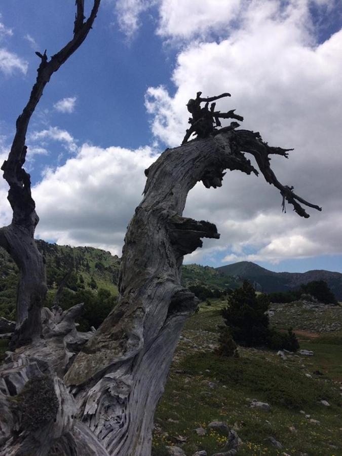 Bed and Breakfast Il Vicoletto Frascineto Екстер'єр фото